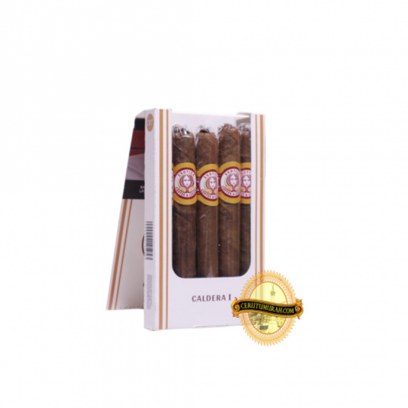 EXOTICA CALDERA I PACK OF 5