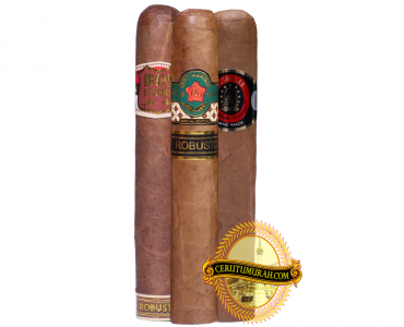 YOUR REGULAR ROBUSTO